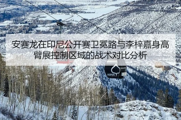 安赛龙在印尼公开赛卫冕路与李梓嘉身高臂展控制区域的战术对比分析